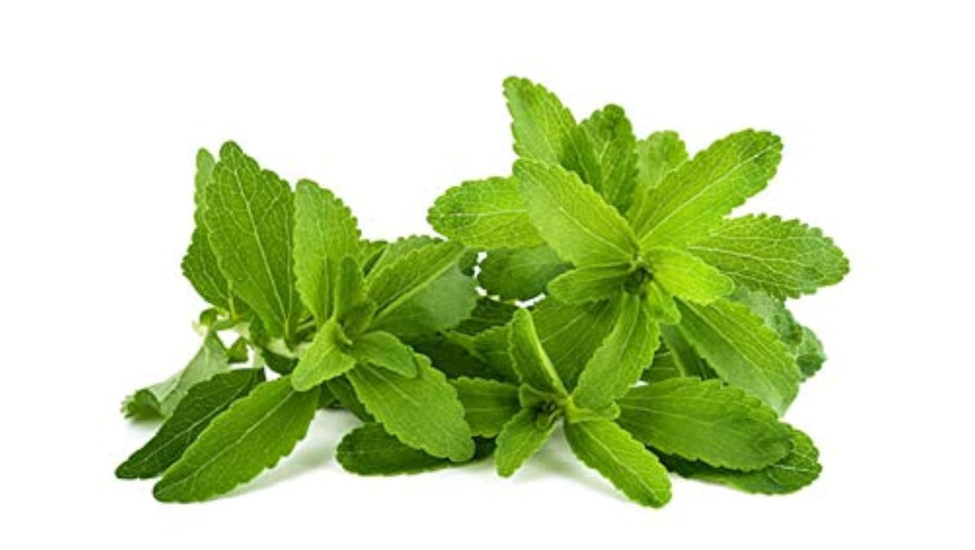 Stevia Sweetener, 50 Sachets